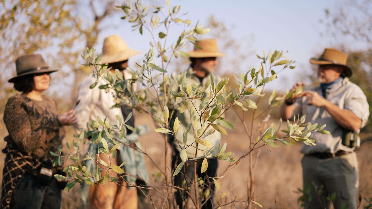 Photo of Others in Kruger National Park