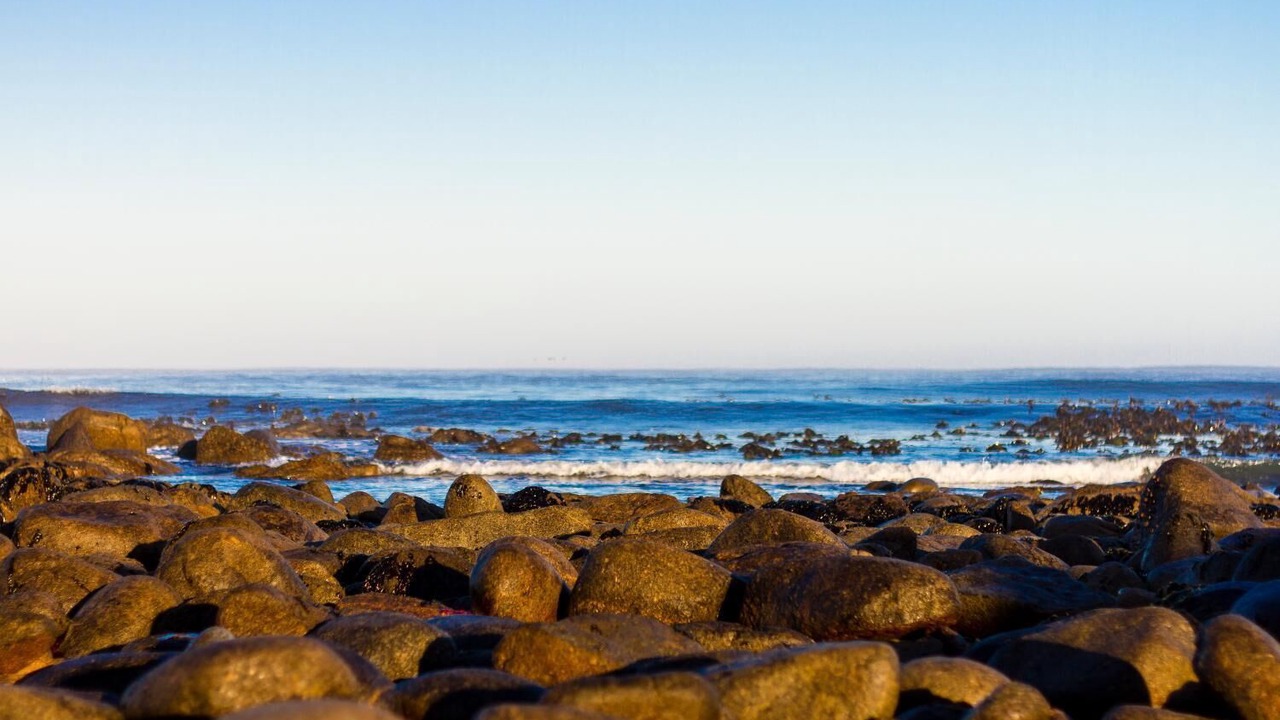 Photo of Others in Jacobs Bay