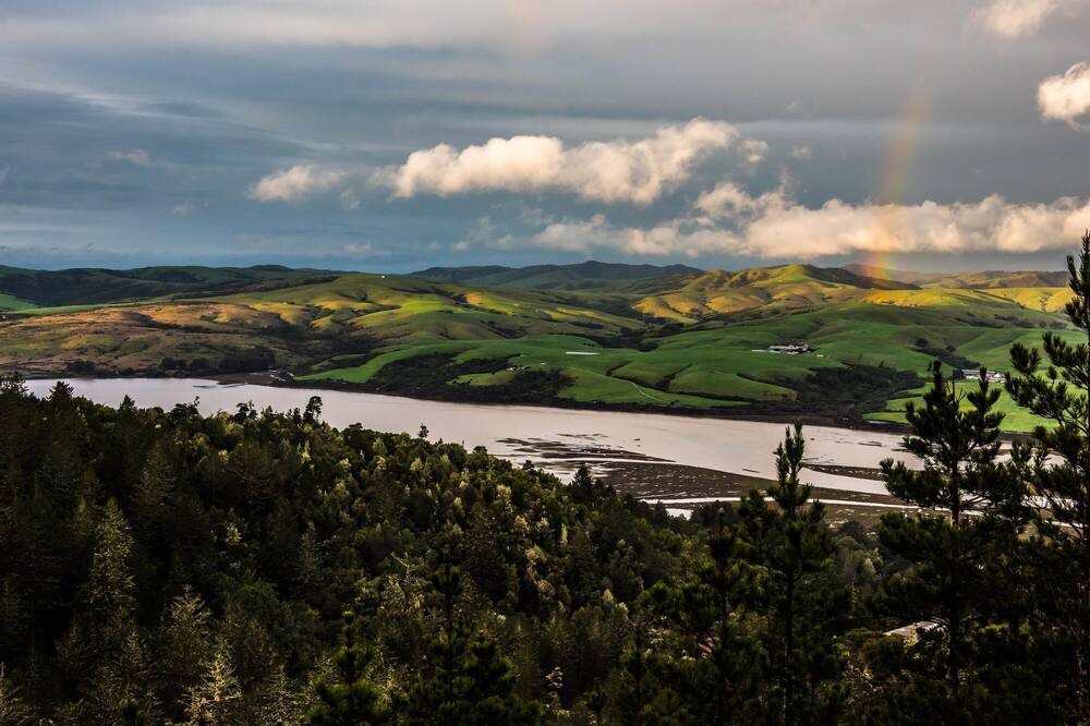 Photo of Others in Point Reyes Station