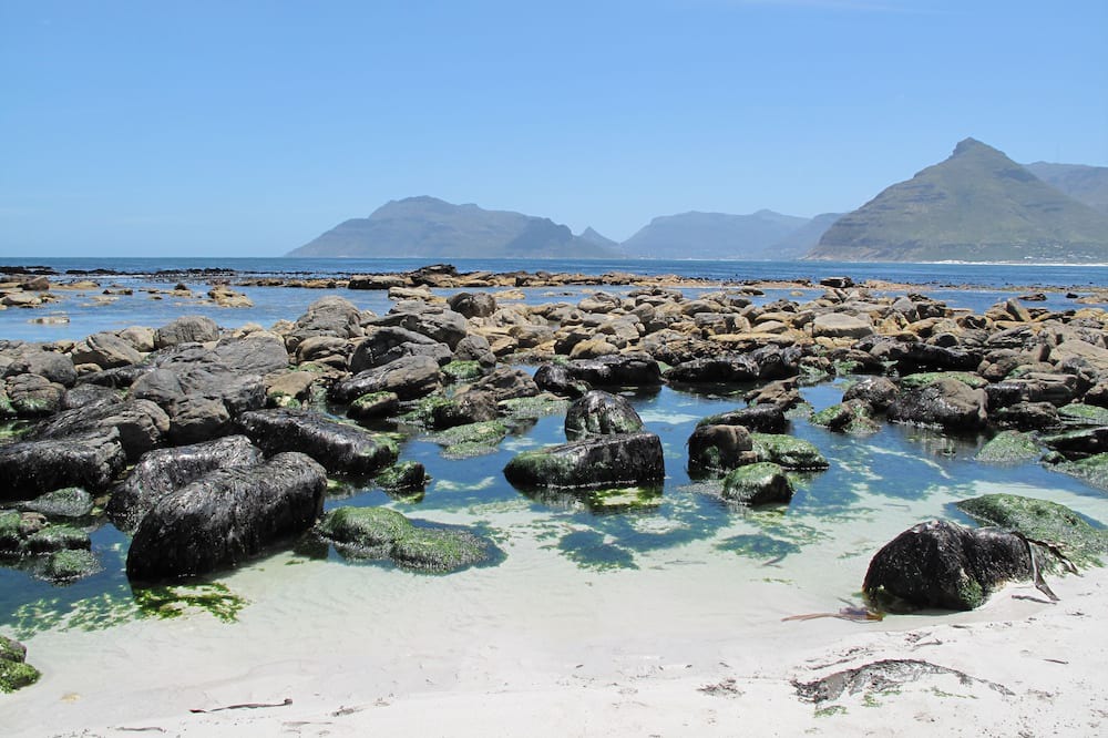 Photo of Others in Noordhoek