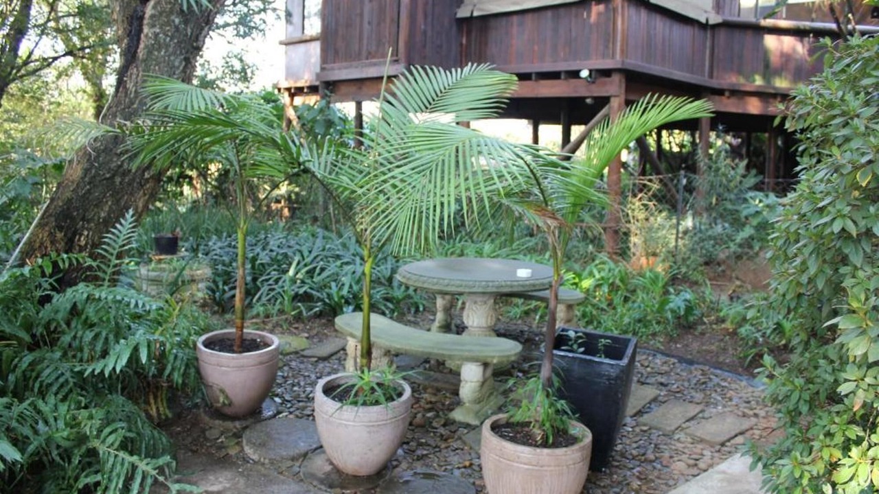 Photo of Outdoor in Sabie
