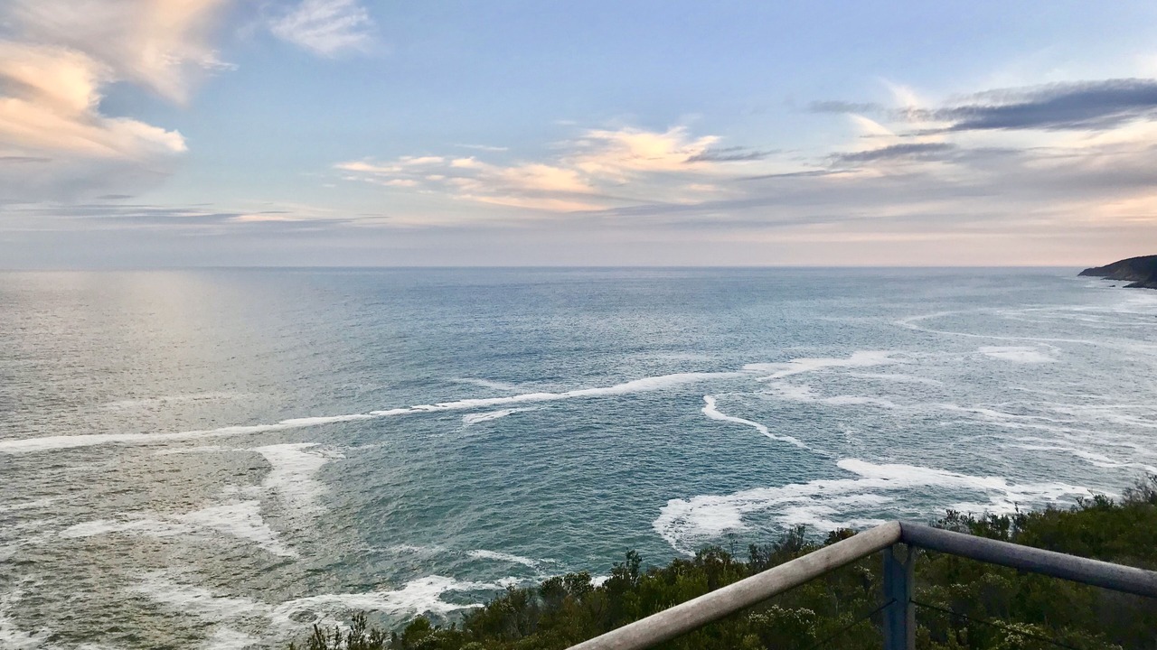 Photo of Others in Victoria Bay