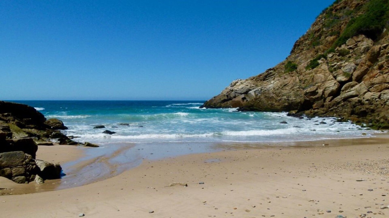 Photo of Others in Victoria Bay