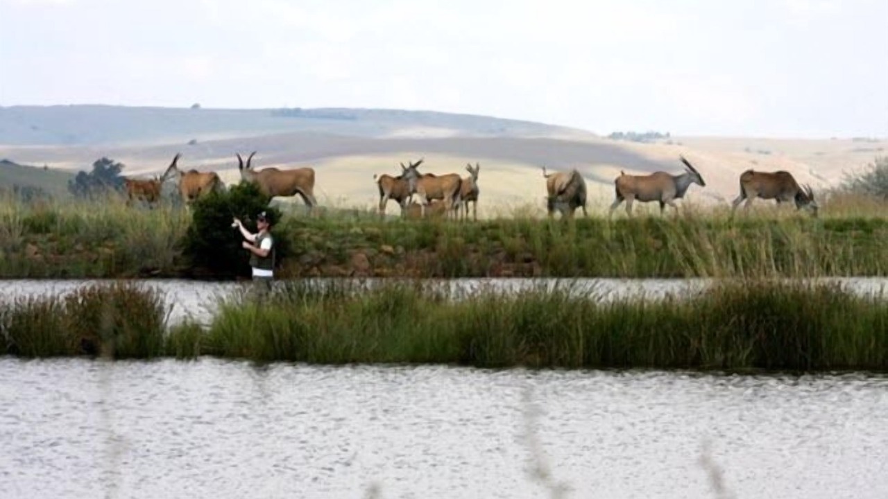 Photo of Others in Dullstroom