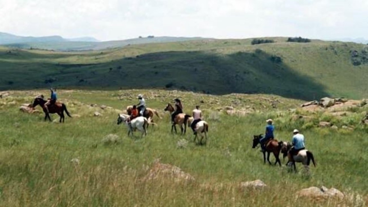 Photo of Others in Dullstroom