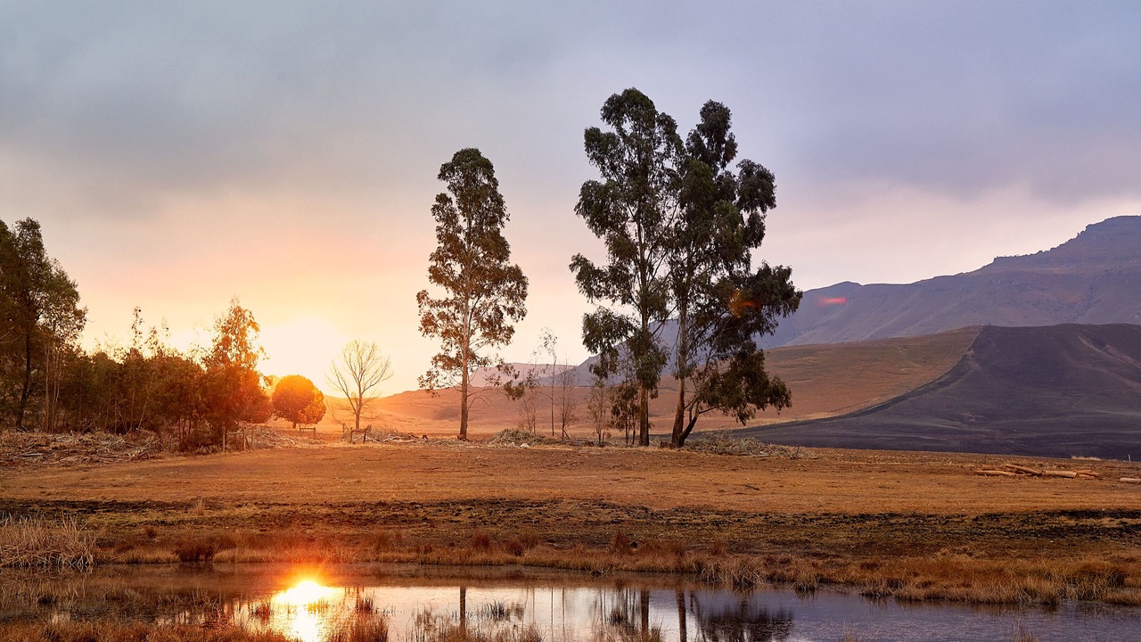 Photo of Others in Drakensberg Gardens