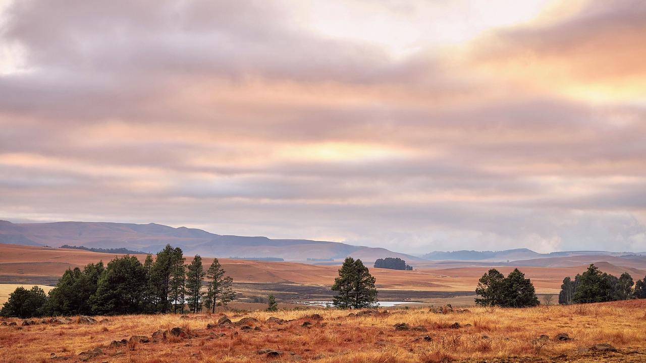Photo of Outdoor in Drakensberg Gardens