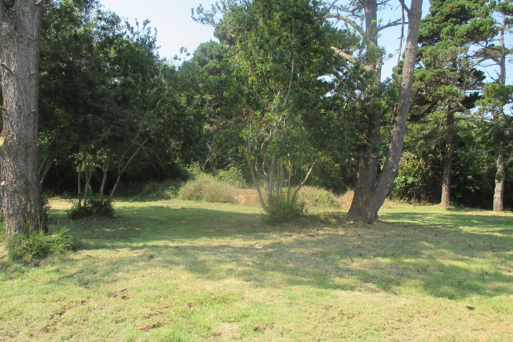 Photo of Outdoor in Fort Bragg