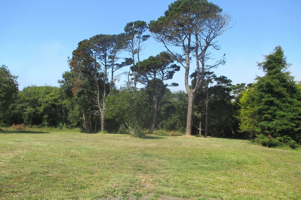 Photo of Outdoor in Fort Bragg