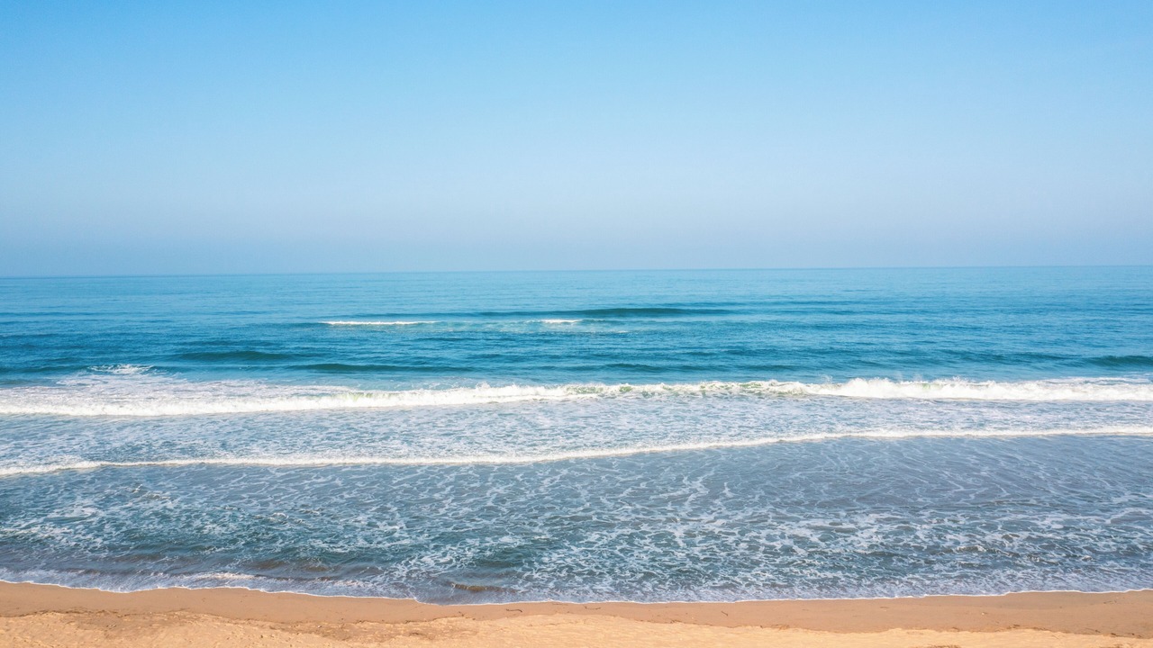 Photo of Others in Illovo Beach