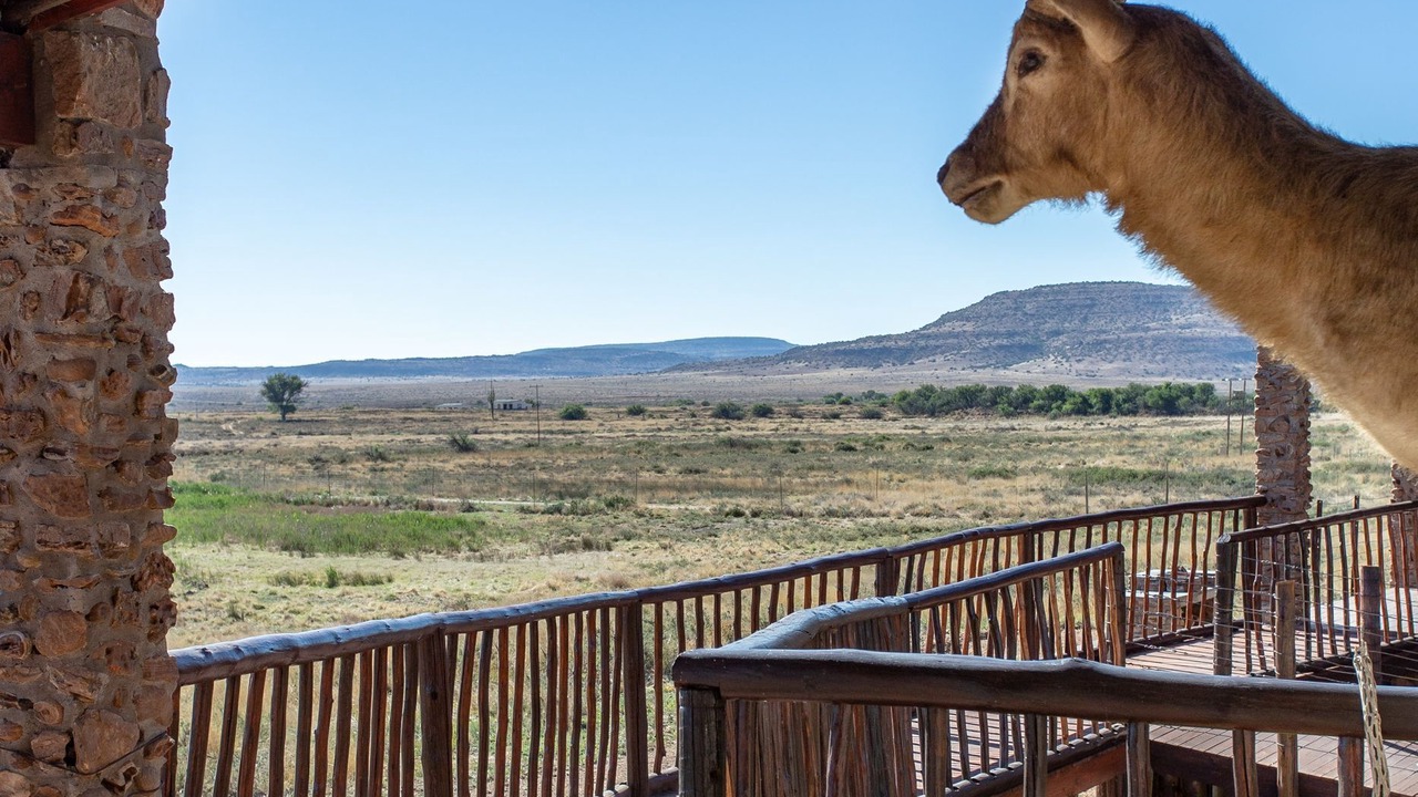 Photo of Patio Balcony in Gariep