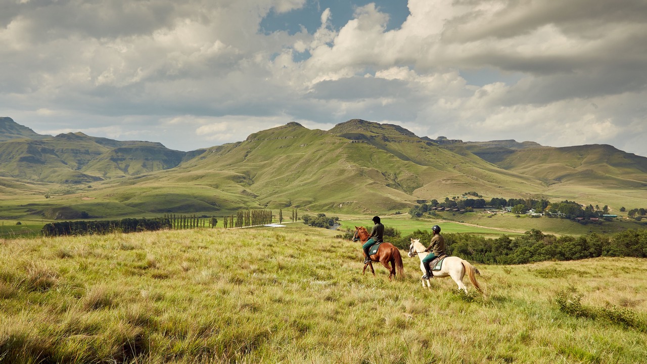 Photo of Others in Drakensberg Gardens
