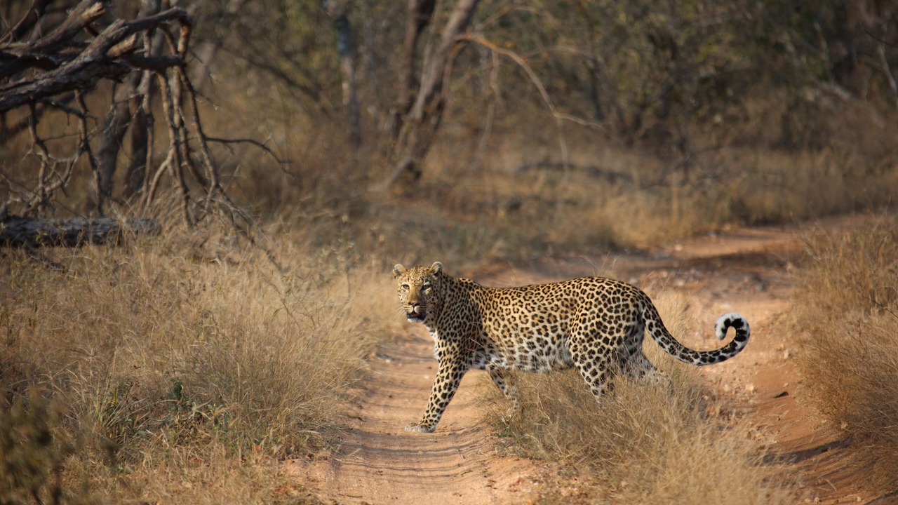 Photo of Others in Maruleng