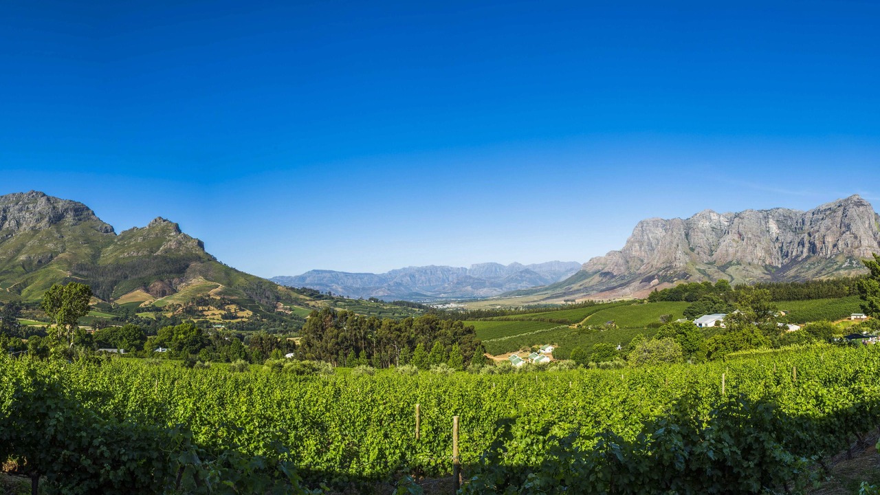 Photo of Others in Cape Winelands