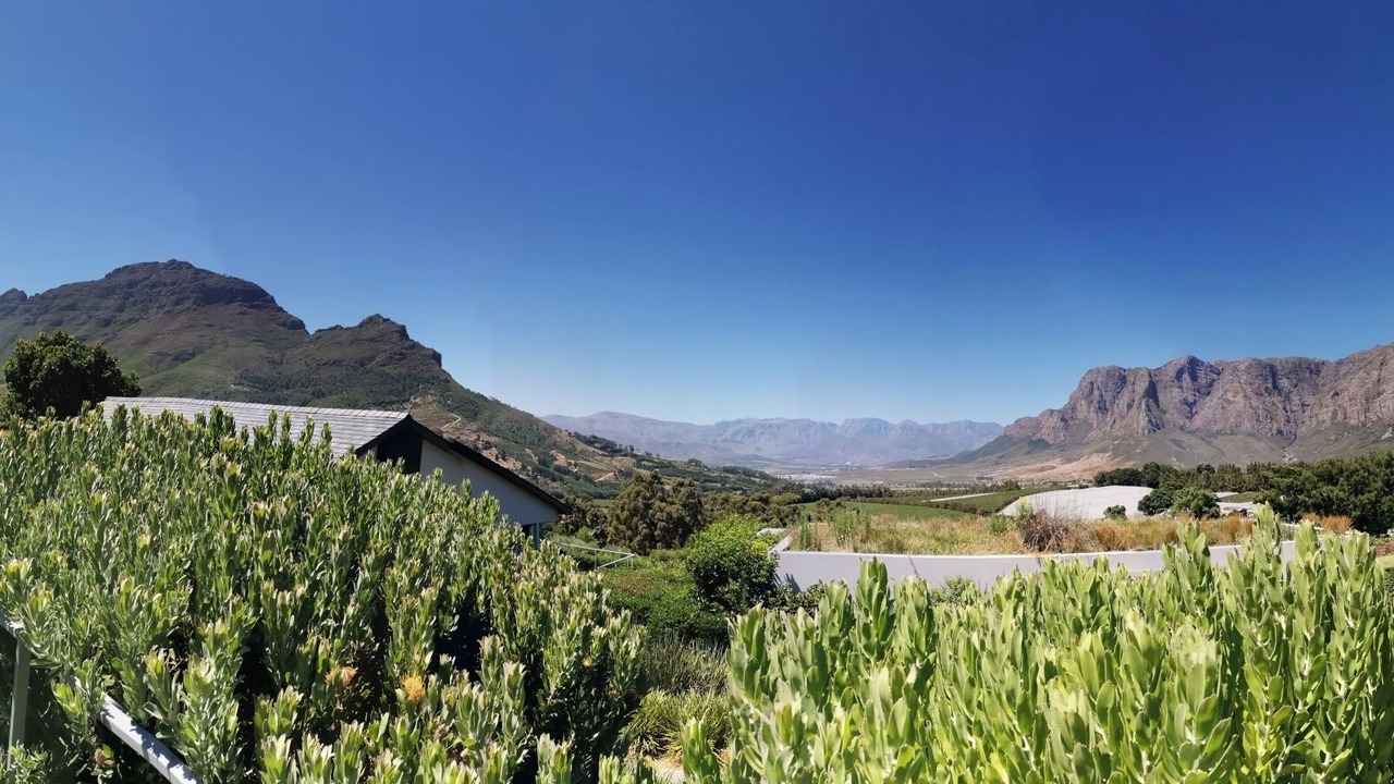 Photo of Others in Cape Winelands