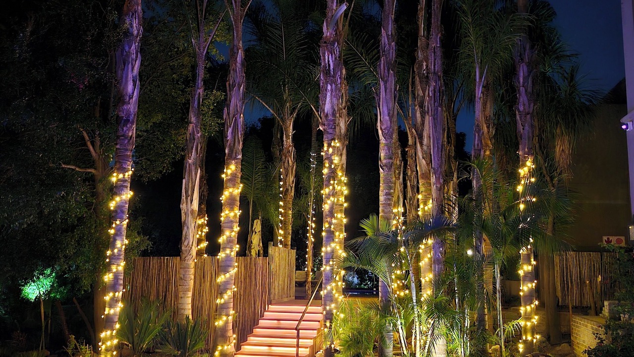 Photo of Outdoor in Houghton Estate