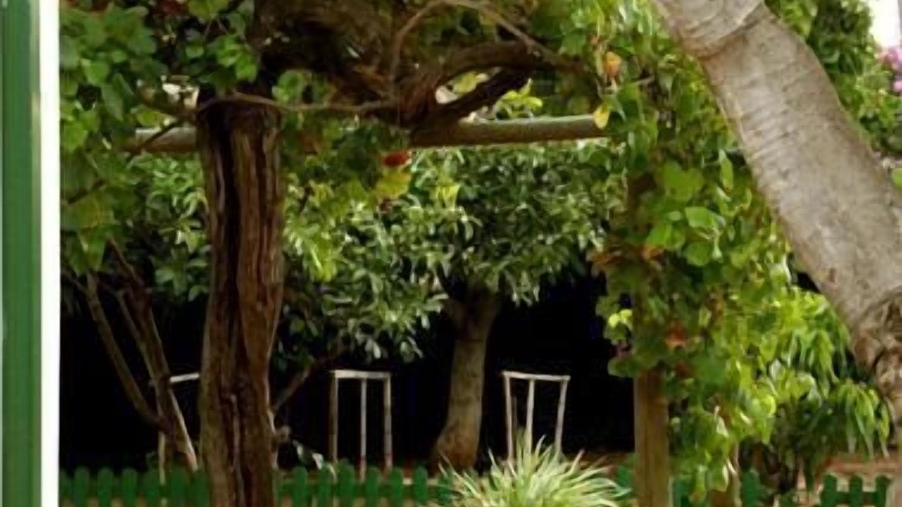 Photo of Outdoor in Riversdale