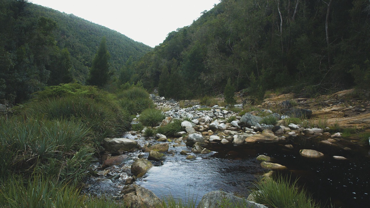 Photo of Outdoor in Knysna