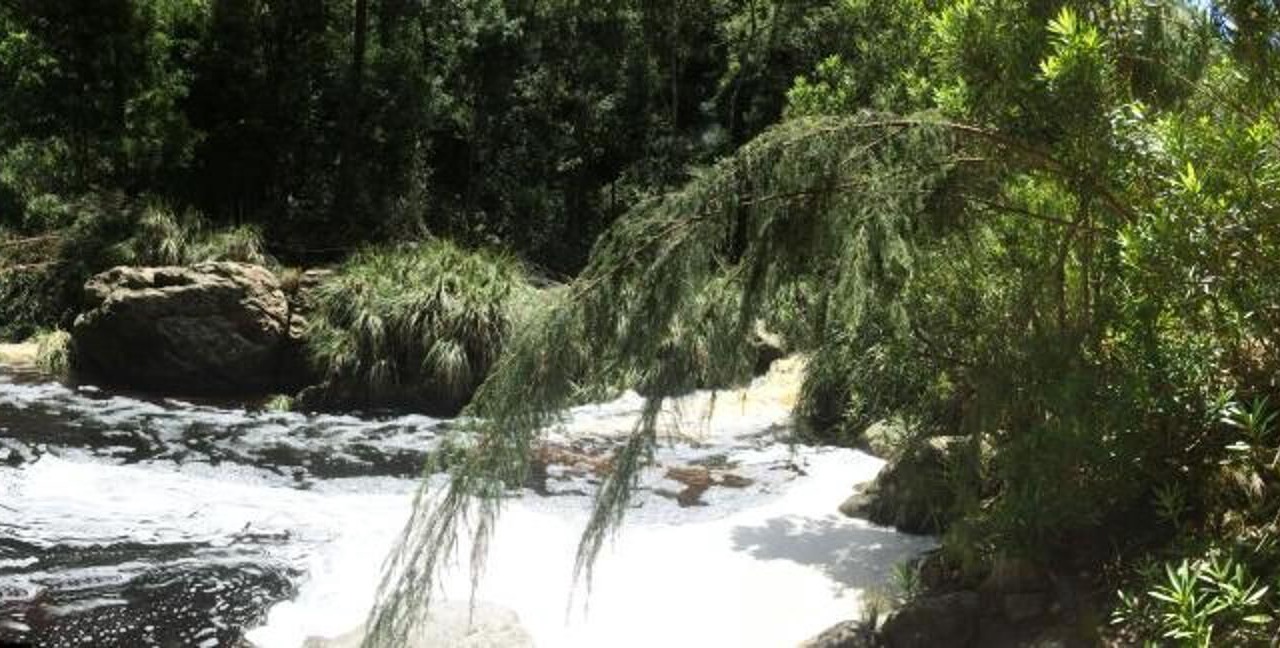 Photo of Outdoor in Knysna