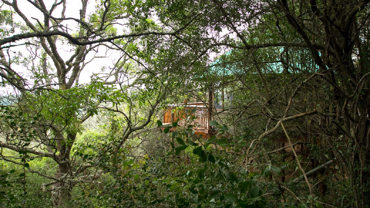 Photo of Bedroom in Knysna