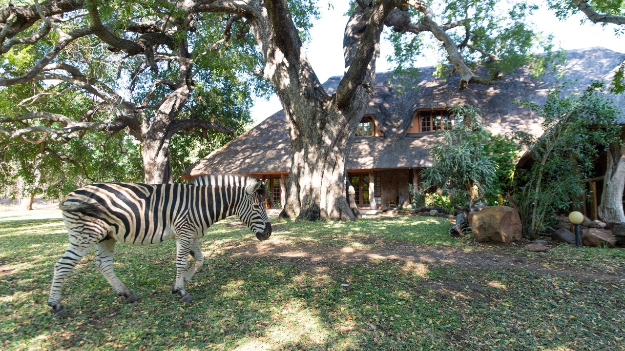 Photo of Bedroom in Hoedspruit