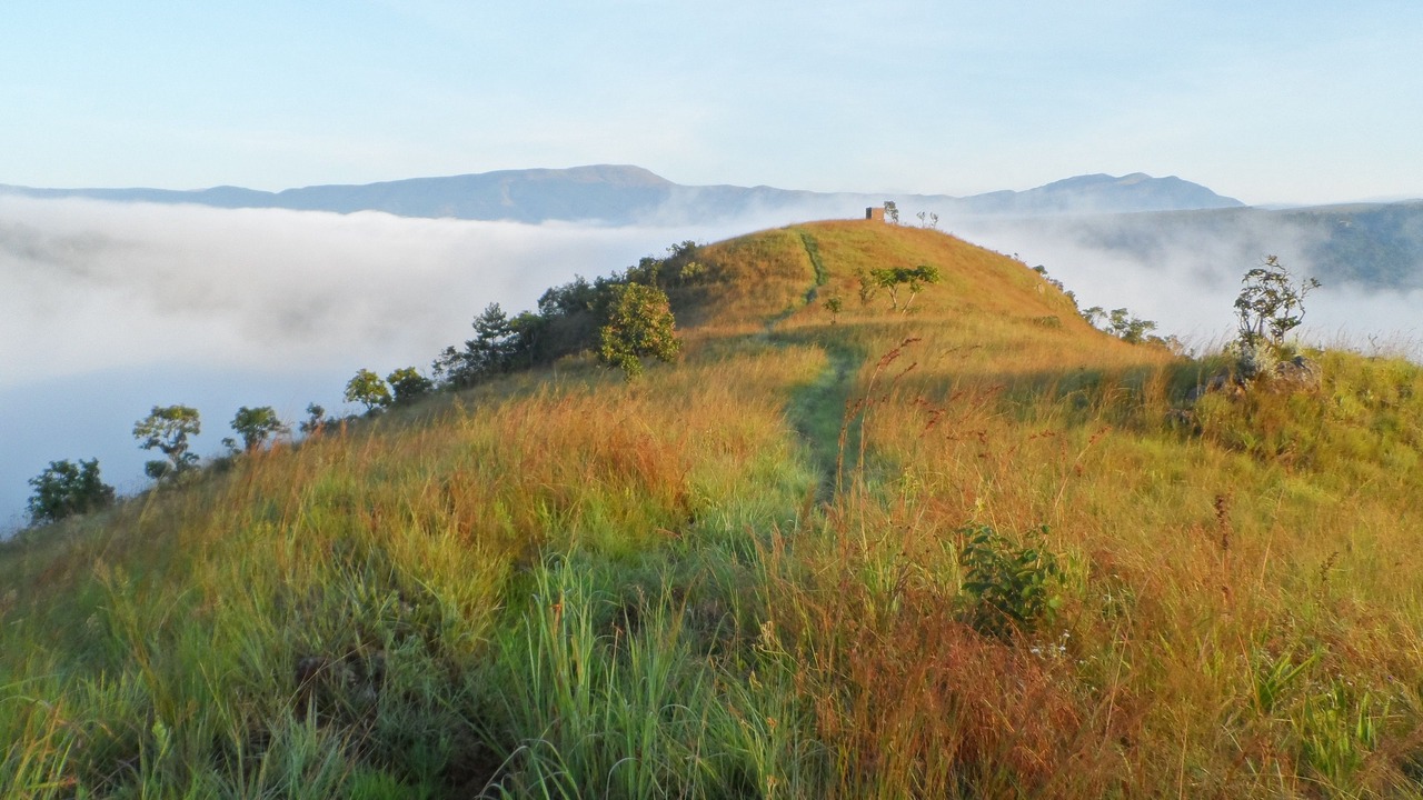 Photo of Outdoor in Sabie