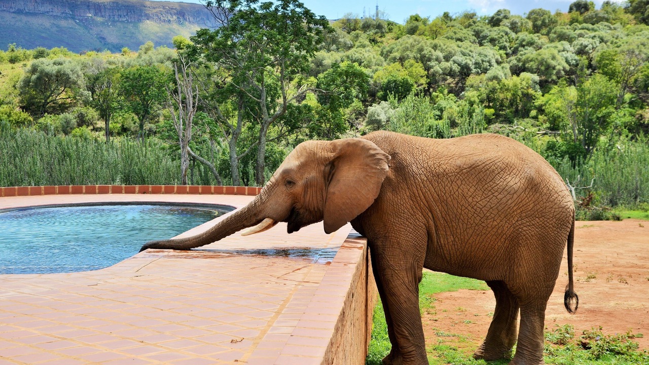 Photo of Outdoor in Magaliesberg