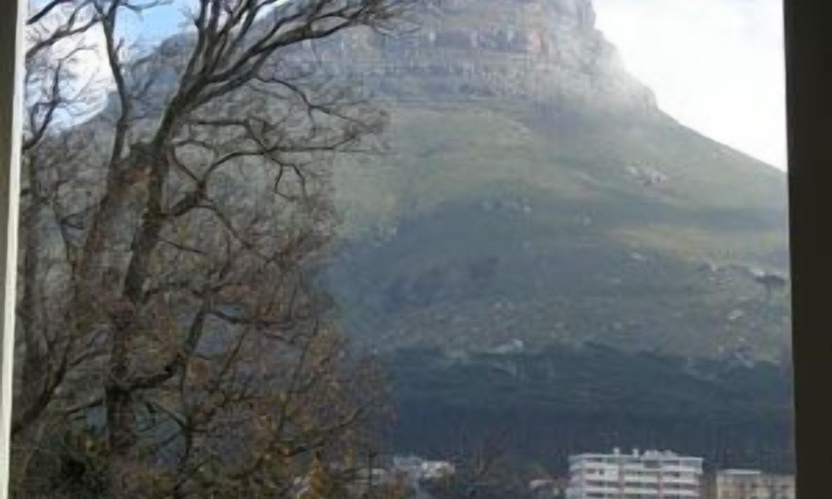 Photo of Others in Cape Town City Centre