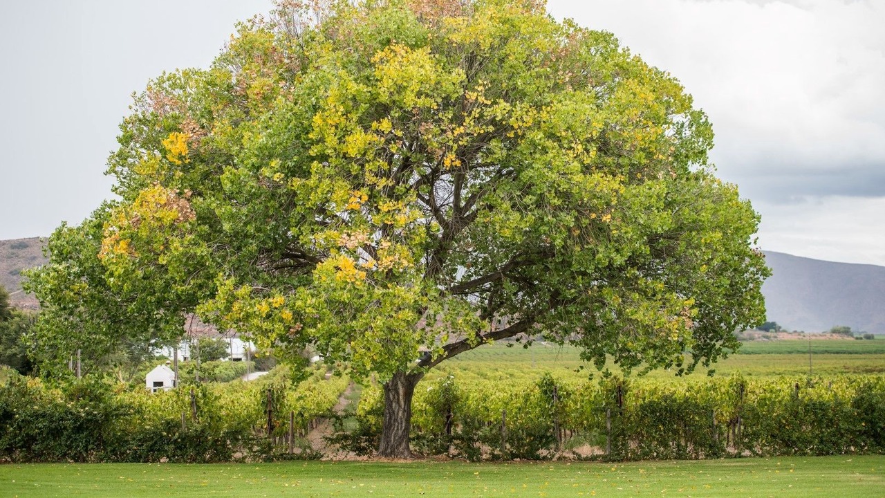 Photo of Outdoor in Ashton