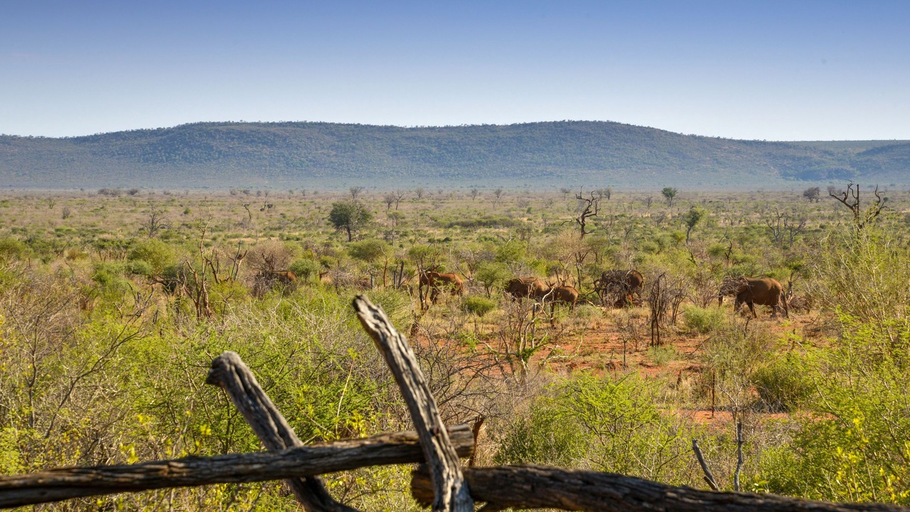 Photo of Bedroom in Madikwe Game Reserve