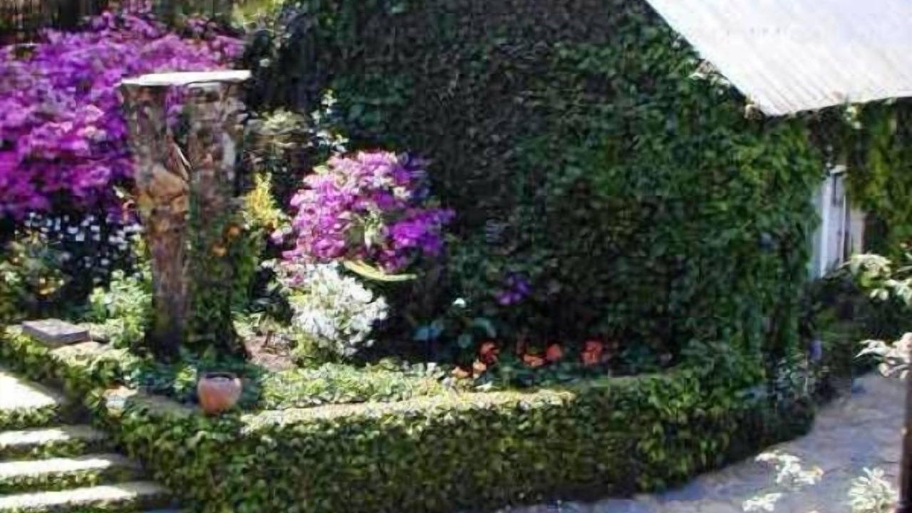 Photo of Outdoor in Rhenosterhoek