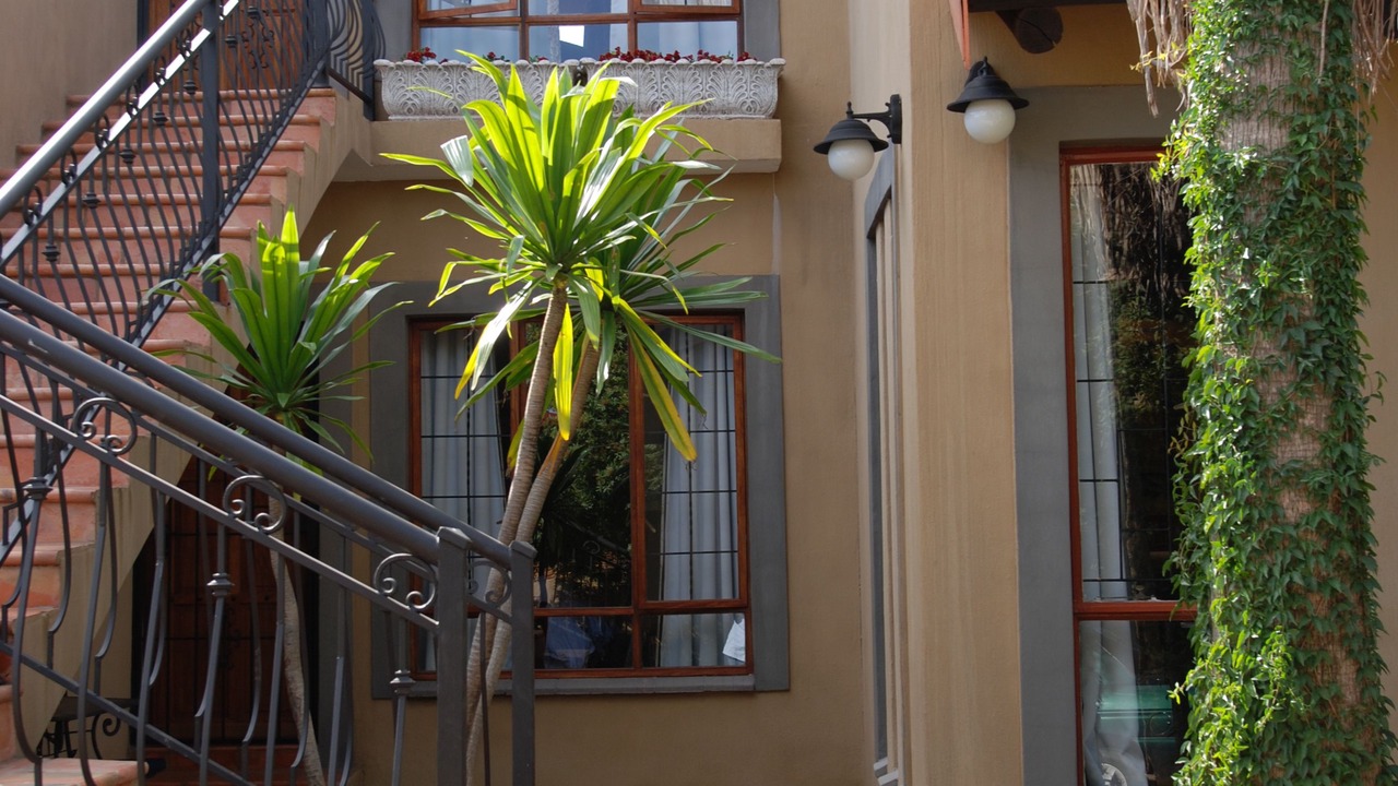Photo of Outdoor in Constantia Park