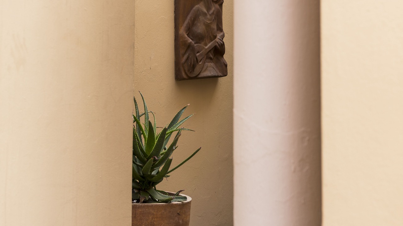 Photo of Outdoor in Constantia Park