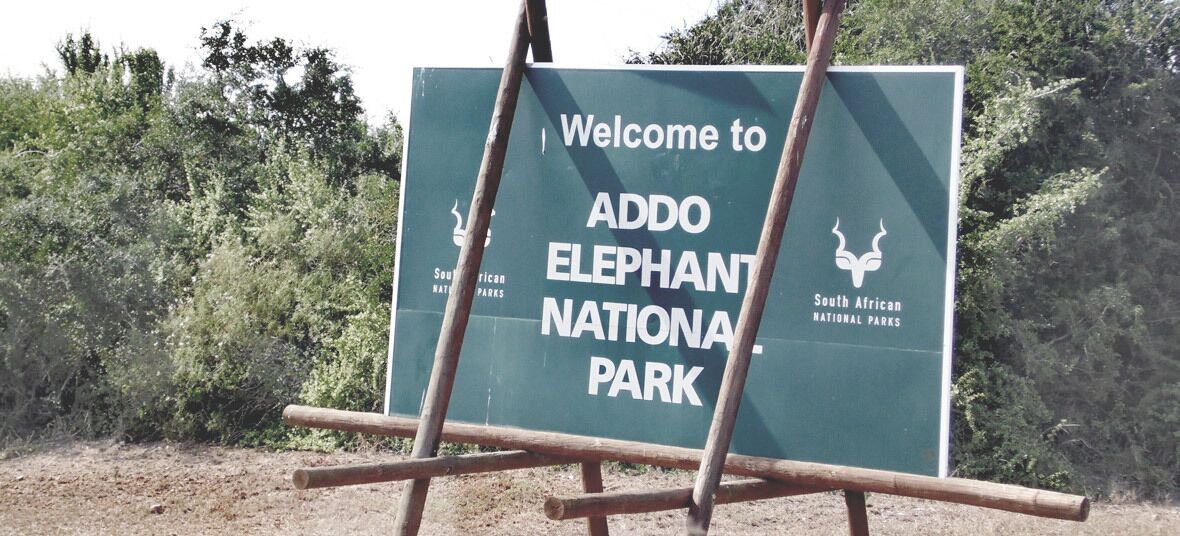 Photo of Others in Addo