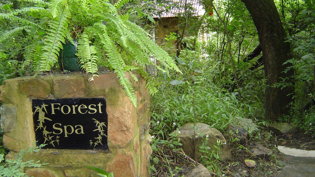 Photo of Outdoor in Lydenburg
