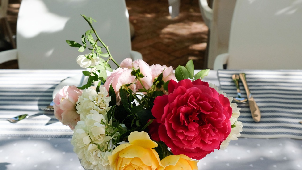 Photo of Others in Stellenbosch