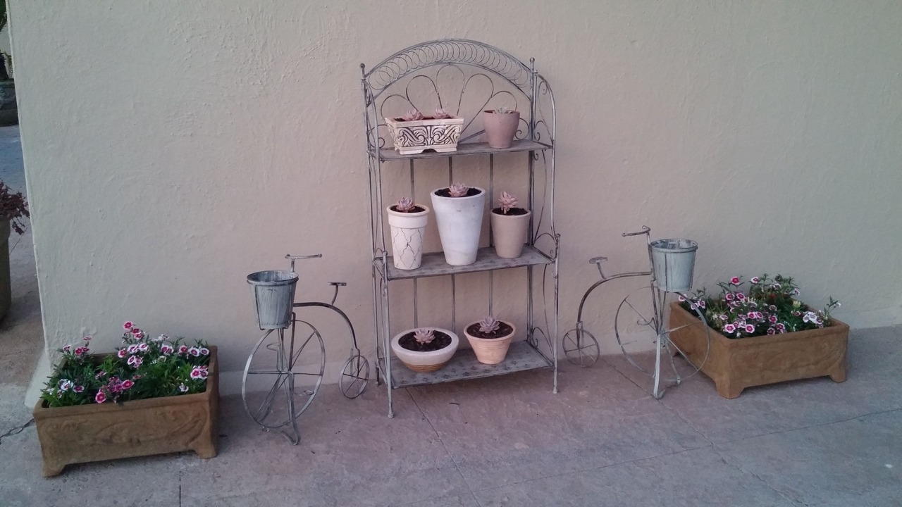 Photo of Outdoor in Greater Johannesburg Metropolitan Area