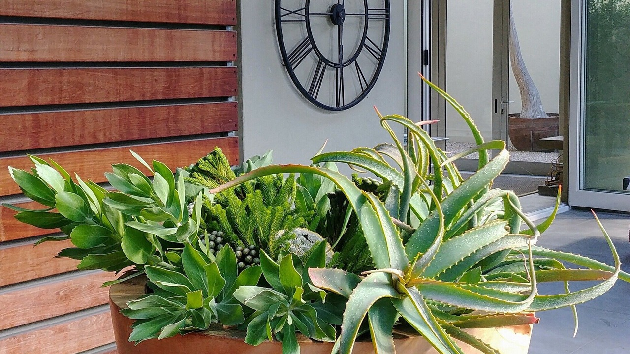 Photo of Outdoor in Voelklip