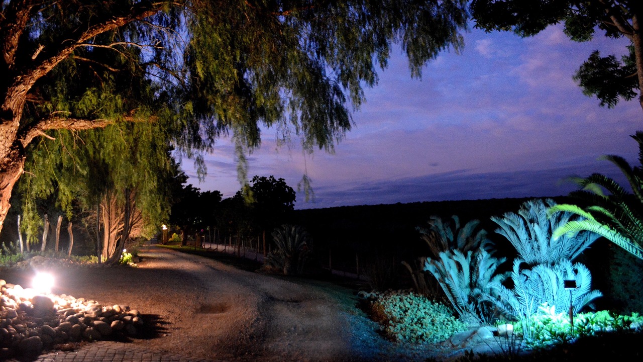 Photo of Outdoor in Addo