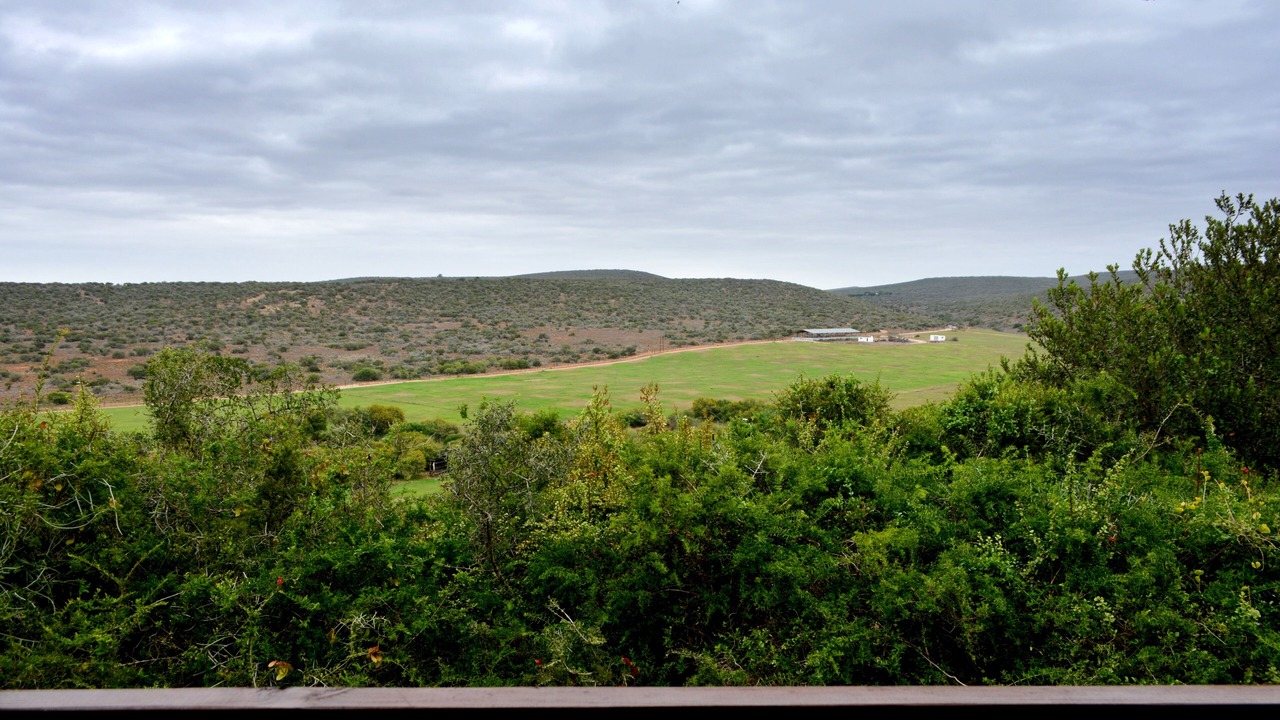 Photo of Outdoor in Addo