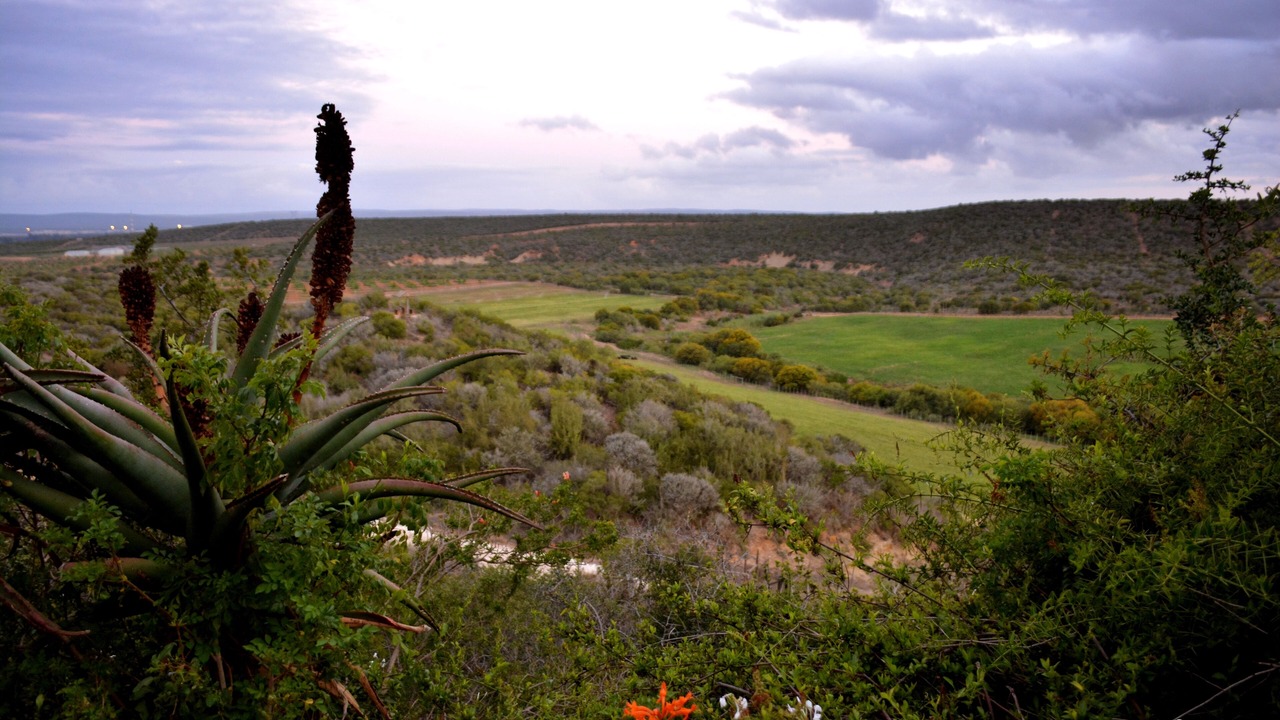 Photo of Others in Addo