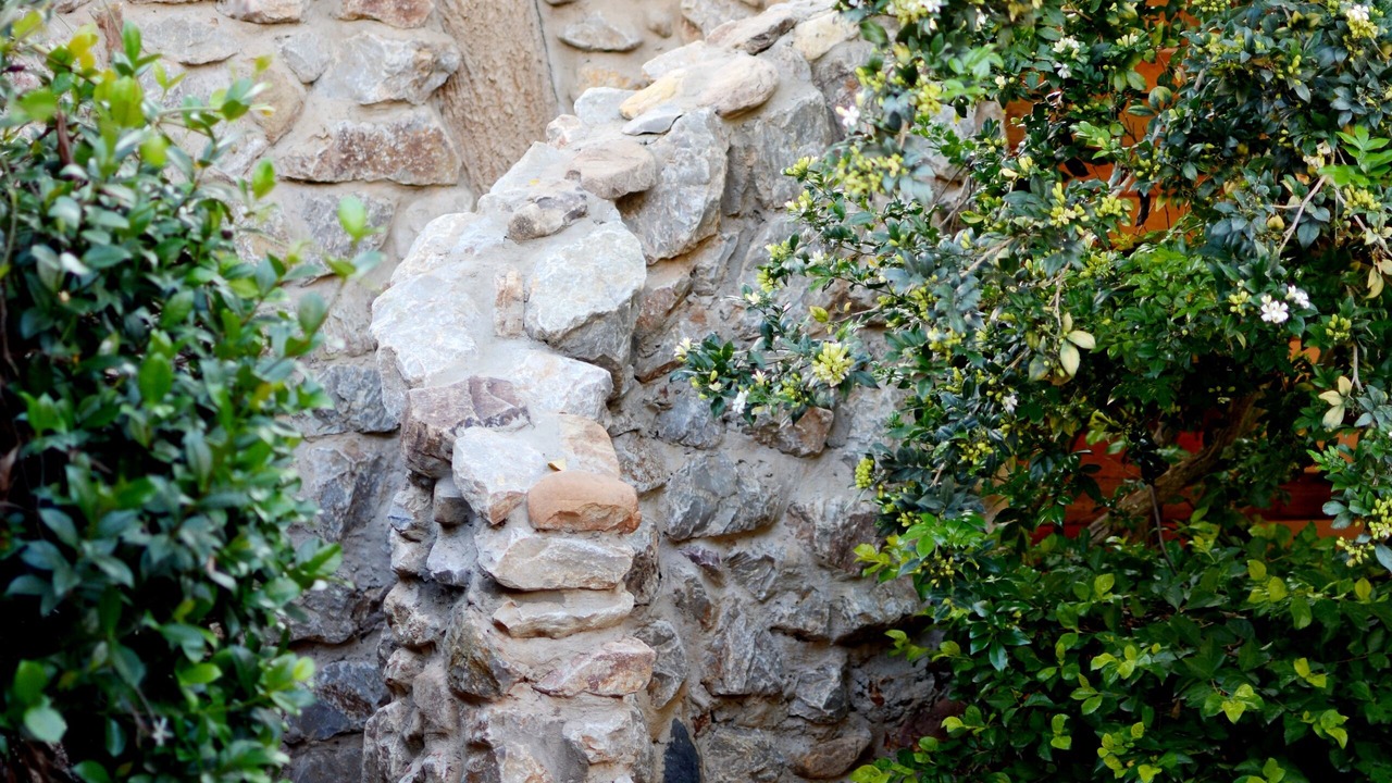 Photo of Outdoor in Addo