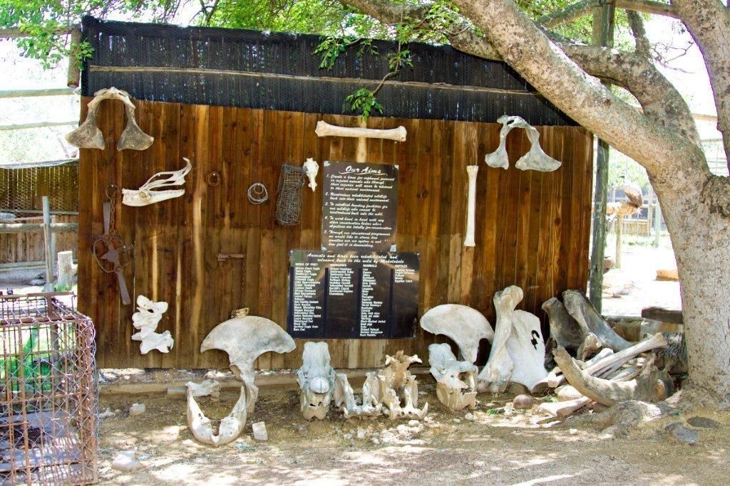Photo of Others in Phalaborwa