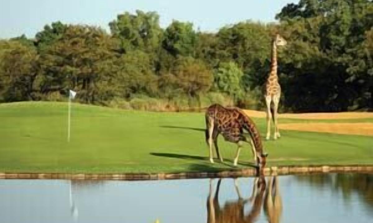 Photo of Others in Phalaborwa