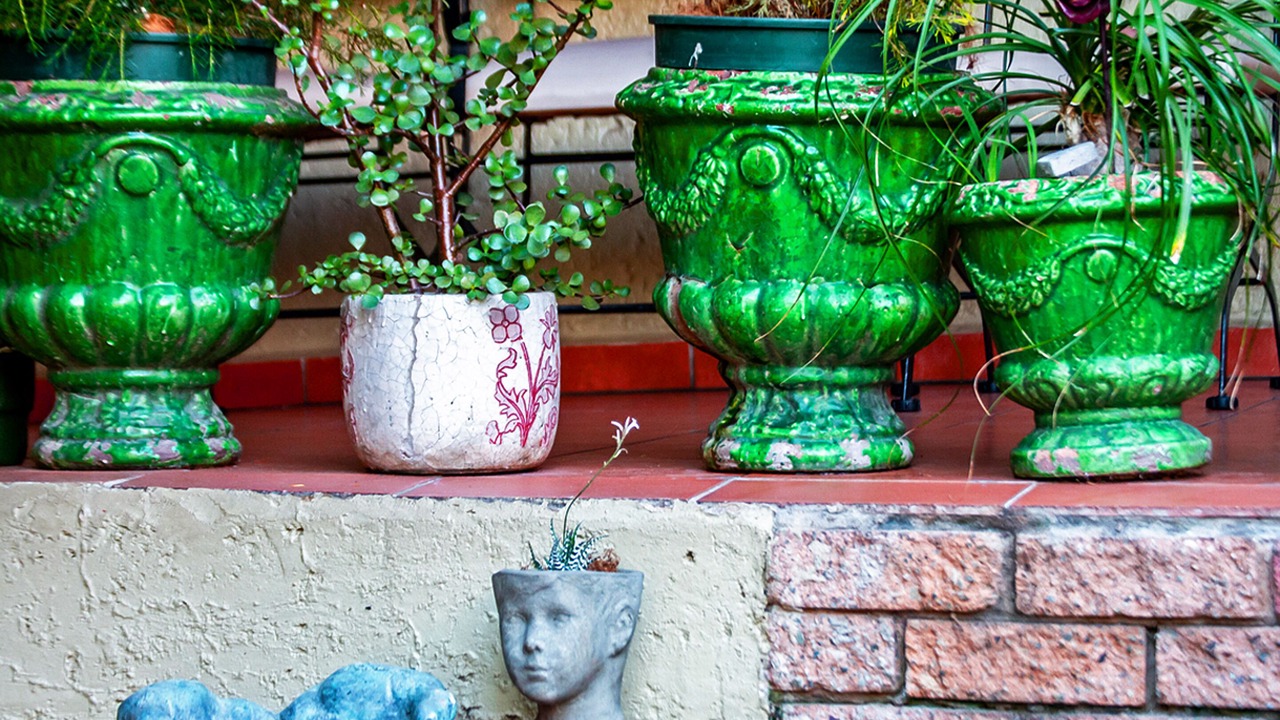 Photo of Outdoor in Boksburg