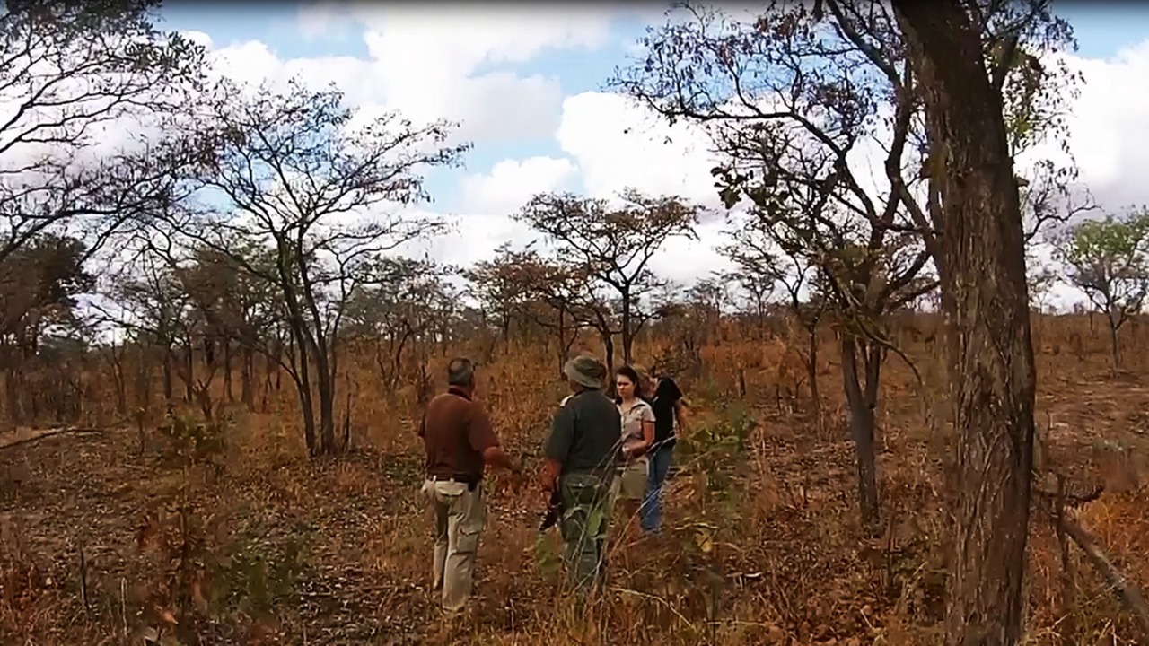 Photo of Outdoor in Hectorspruit