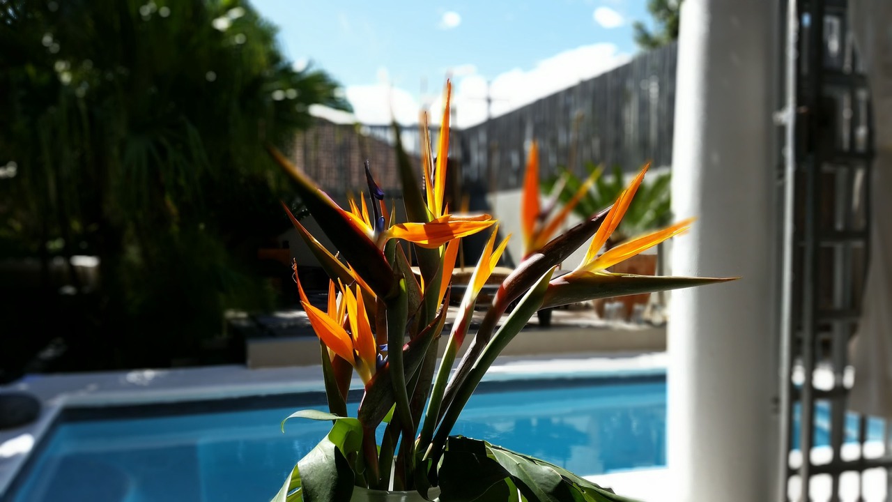 Photo of Outdoor in Cape Town City Centre