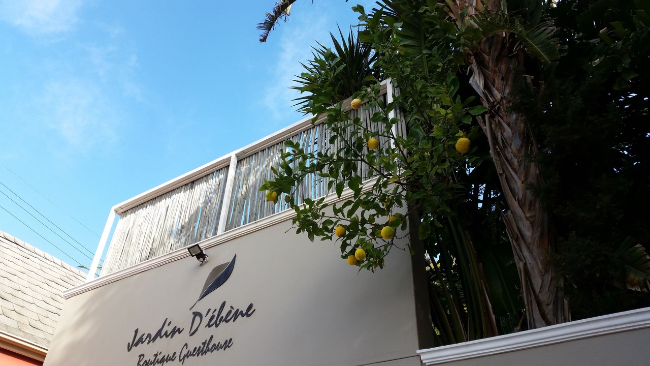 Photo of Outdoor in Cape Town City Centre