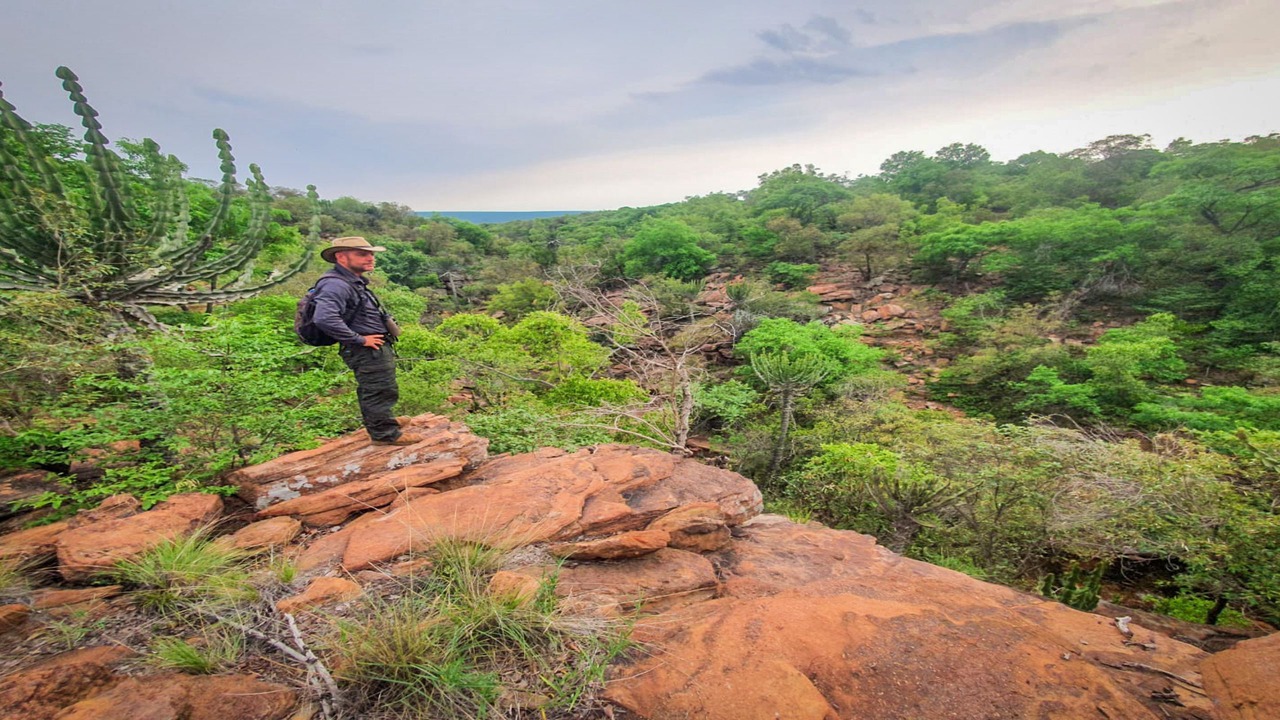 Photo of Outdoor in Vaalwater