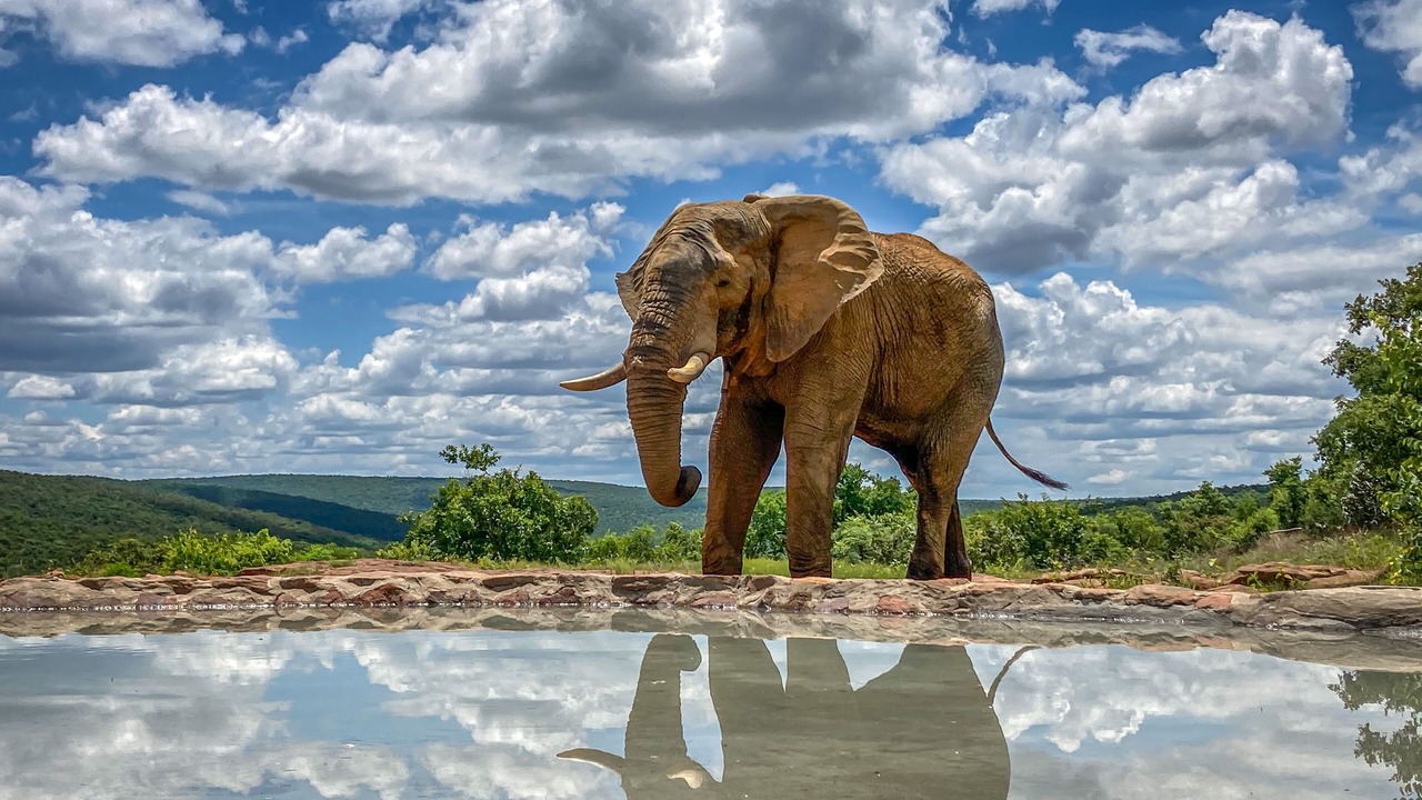 Photo of Outdoor in Vaalwater